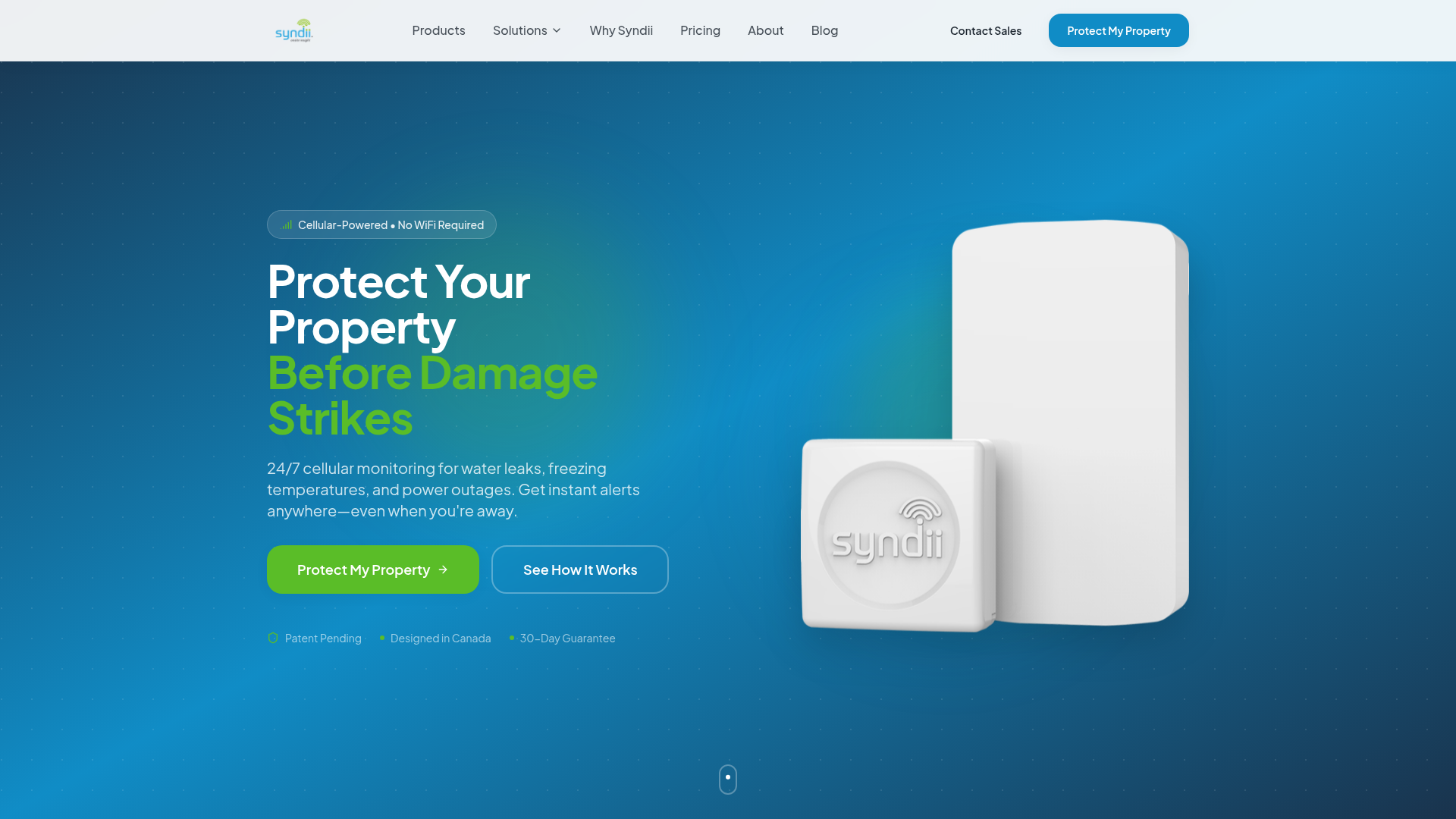 Syndii website preview